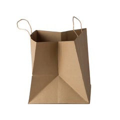 Brown Kraft Paper Bag-(10*9*9 Inch) (PB-1)