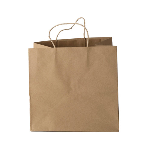 Brown Kraft Paper Bag-(10*9*9 Inch) (PB-1)